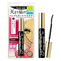 HEROINE MAKE by KISSME Waterproof Mascara Black